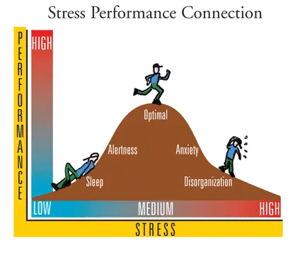 Stress Performance Connection: the Yerkes-Dodson curve showing that performance peaks at a medium level of stress and drops at very low or very high stress